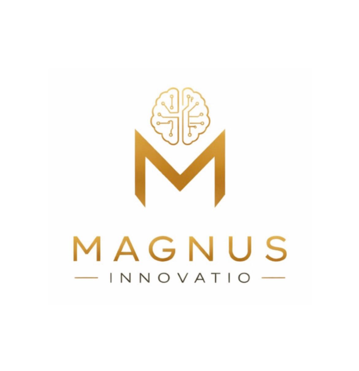 Magnus Innovatio — tecnología argentina detrás de M4B